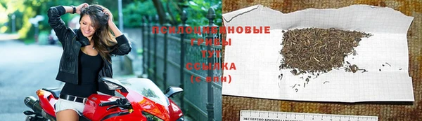 MESCALINE Алзамай